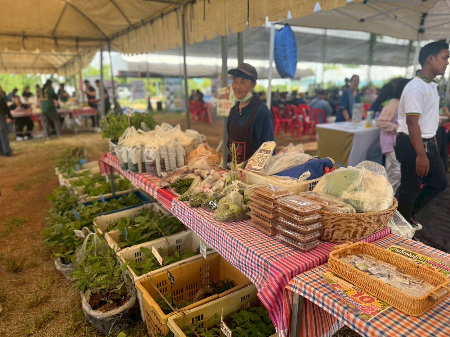 title - วันที่ 19 มิถุนายน 2569 นายวิทูล ประดิษฐบุญ ปฏิรูปที่ดินจังหวัดปราจีนบุรี พร้อมด้วย เจ้าหน้าที่ ส.ป.ก.ปราจีนบุรี เข้าร่วมงาน Green Gain Day 